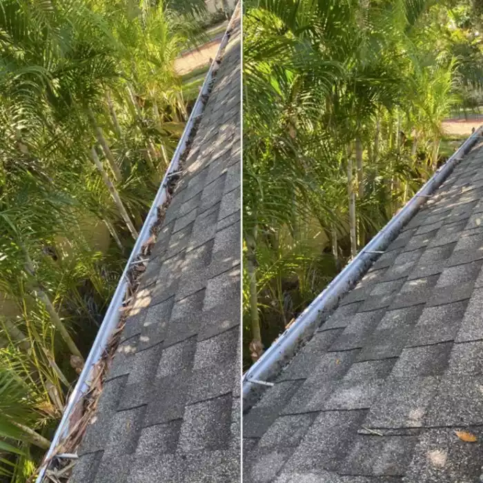 Gutter Cleaning Service